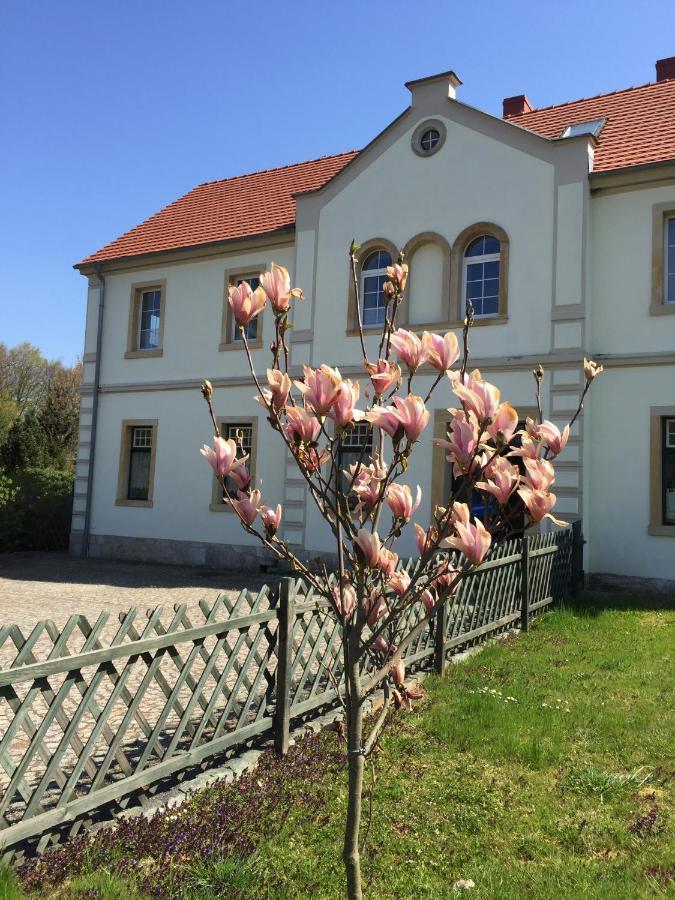Stara Szkola Debowy Gaj The Old School Debowy Gaj Bed & Breakfast Lwowek Slaski Exterior photo