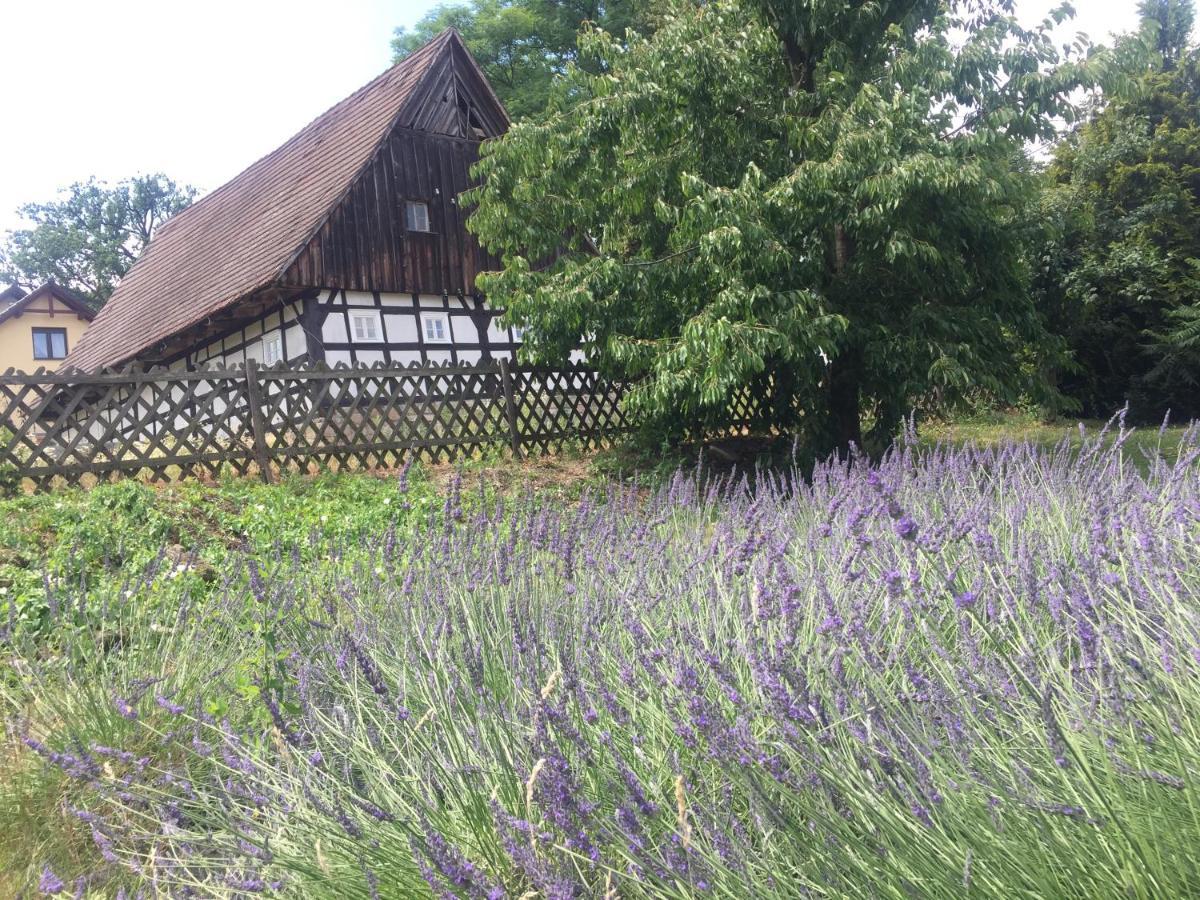 Stara Szkola Debowy Gaj The Old School Debowy Gaj Bed & Breakfast Lwowek Slaski Exterior photo